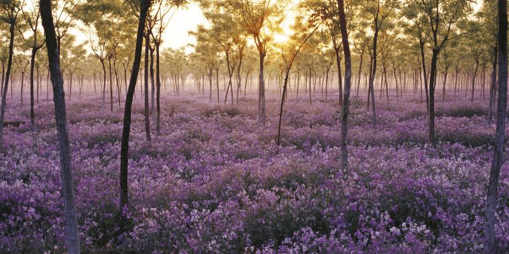 supporting your child through mother's day