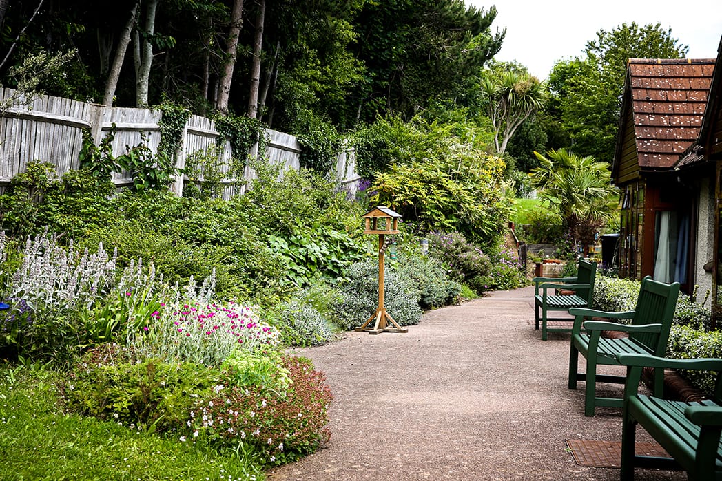 photo of martlets garden