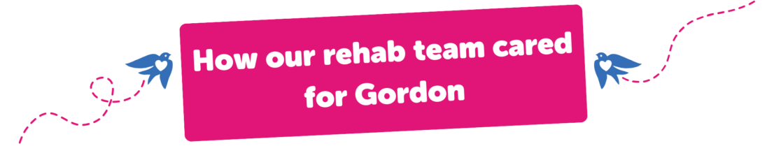 How our rehab team cared for Gordon