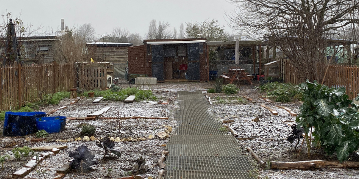 Our allotment over the winter