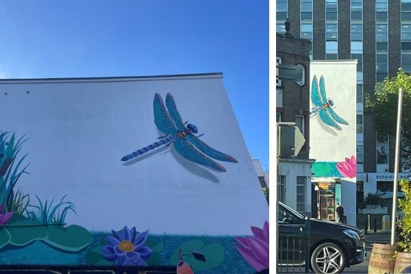 Mural of the graffiti dragonfly
