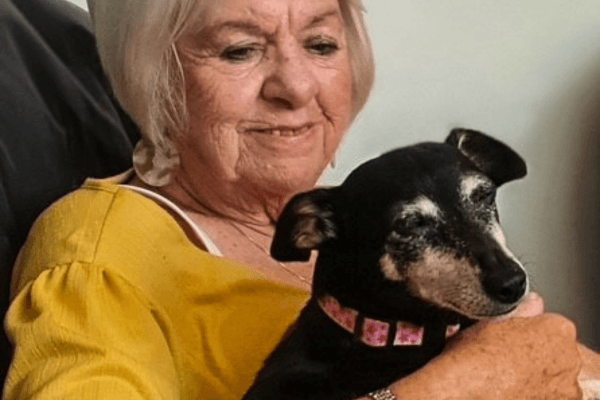 Elderly lady with grey hair wearing a yellow top, cuddling a small black and brown terrier dog.