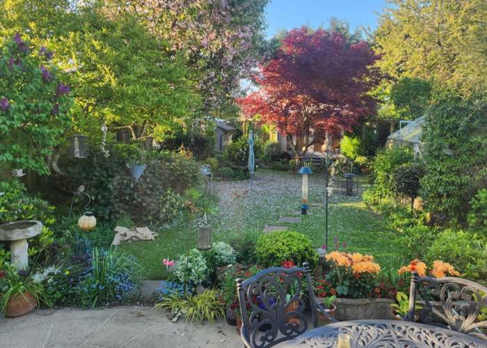 a pretty cottage garden with flowers and mature trees and shrubs